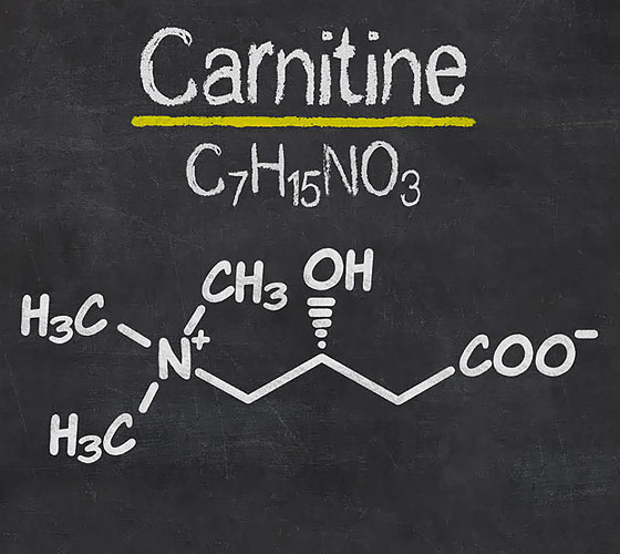 Что такое L-Карнитин. Его свойства