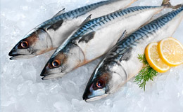 Жиры, белки и углеводы в рыбе. Калорийность