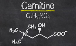 Что такое L-Карнитин. Его свойства