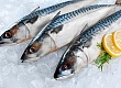 Жиры, белки и углеводы в рыбе. Калорийность